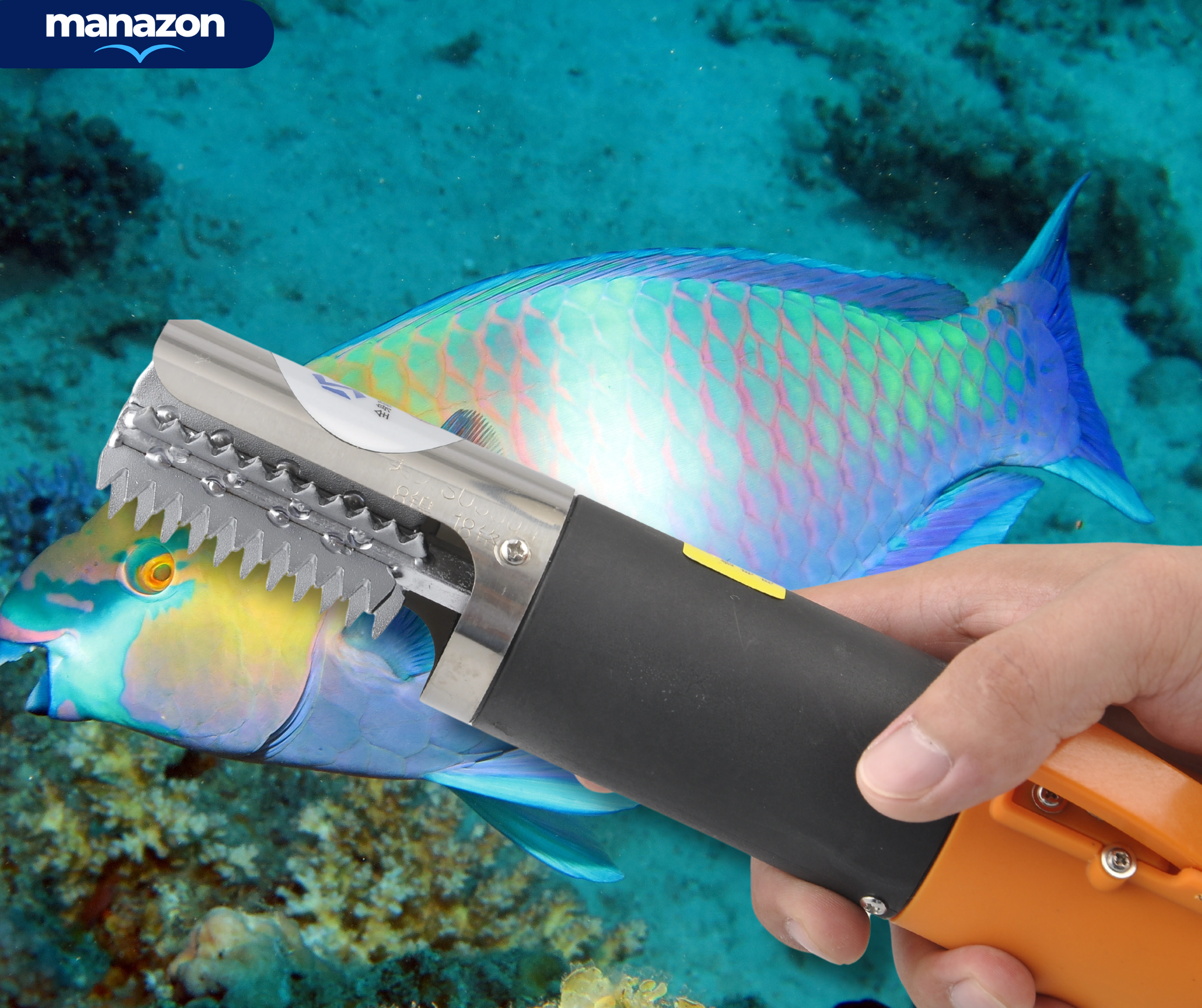 FISH PRO  - Écailleur automatique de poisson