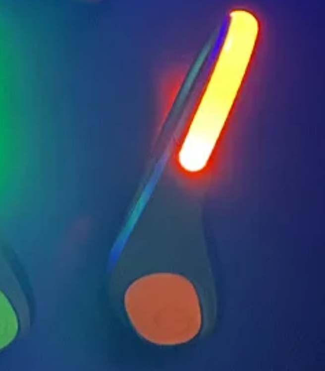 Paire de LED pour chaussures